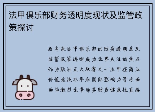 法甲俱乐部财务透明度现状及监管政策探讨